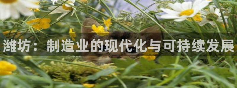 天辰娱乐台湾