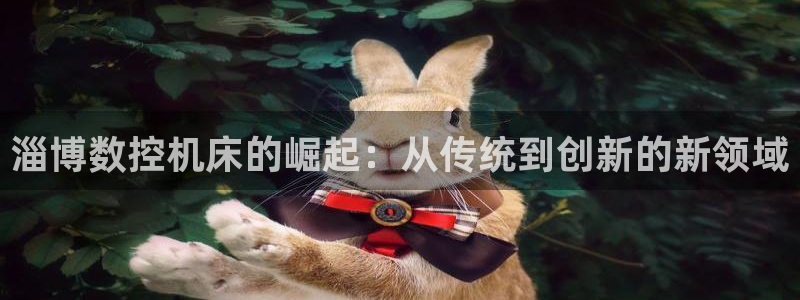 天辰娱乐51137