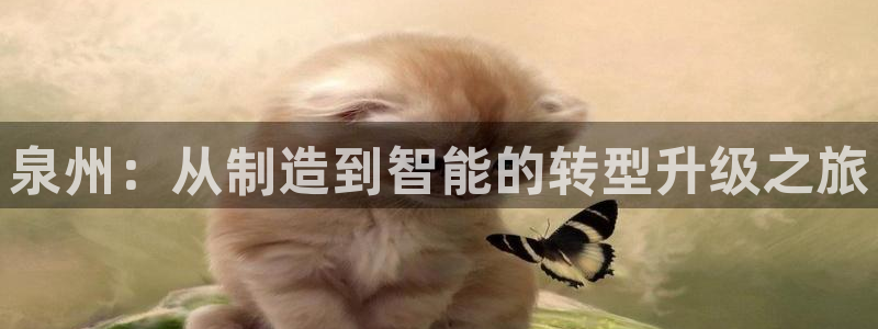 集宁天辰娱乐