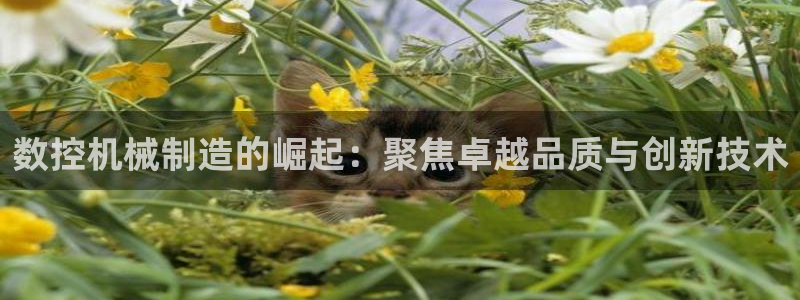 天辰娱乐481928