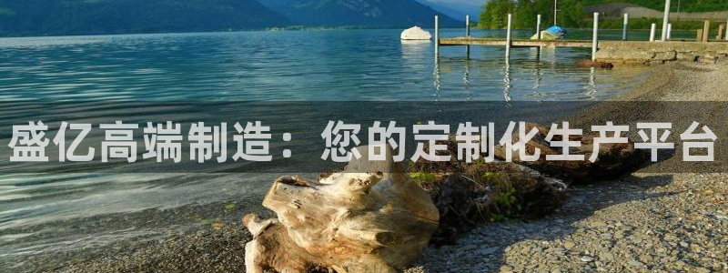 天辰娱乐直属：盛亿高端制造：您的定制化生产平台