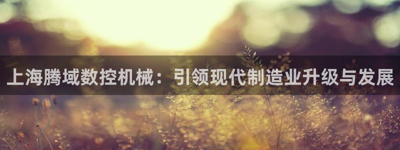 手机上怎么下载天辰娱乐