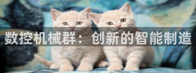 天辰娱乐服务