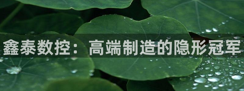 天辰娱乐44616