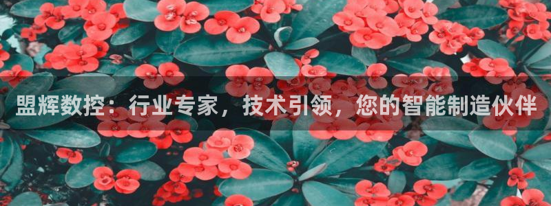 天辰水娱乐