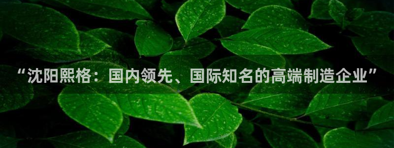 天辰娱乐天辰宝