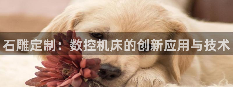 天辰娱乐输了