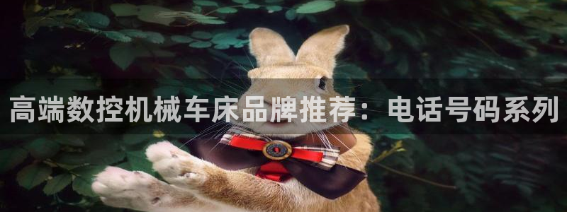 天辰娱乐44616
