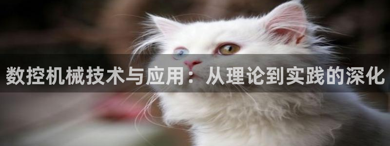 天辰娱乐登录网址