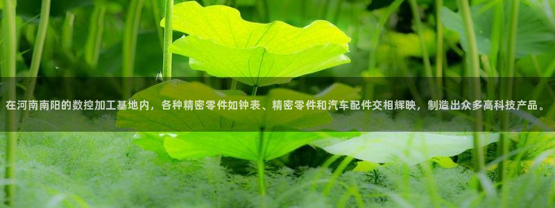 天辰娱乐平台地址