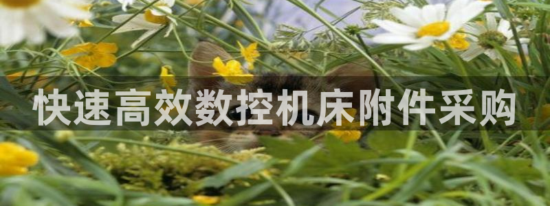 天辰娱乐7天22650