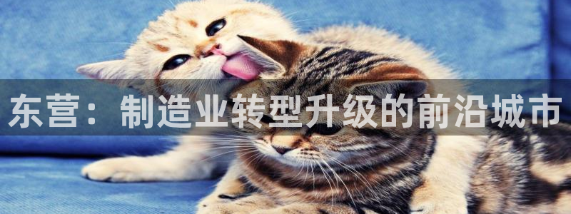 辰天娱乐