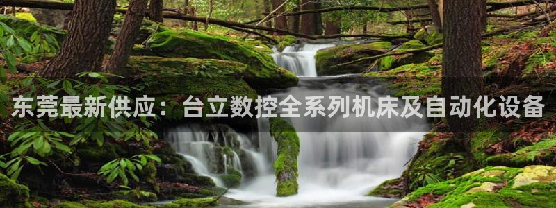 天辰娱乐 231639