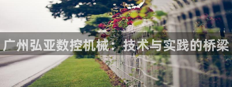 天辰娱乐黑人