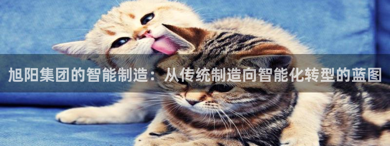 天辰娱乐链接