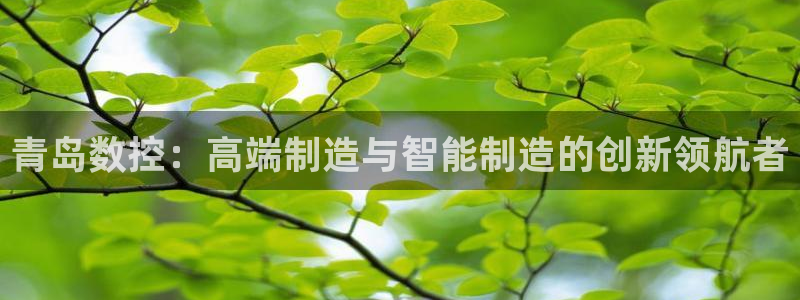 天辰娱乐平台测速