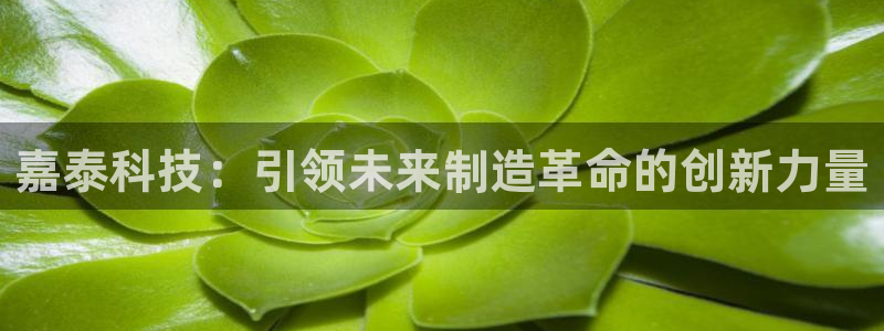 广东天辰娱乐