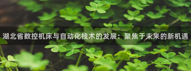 天辰线上娱乐