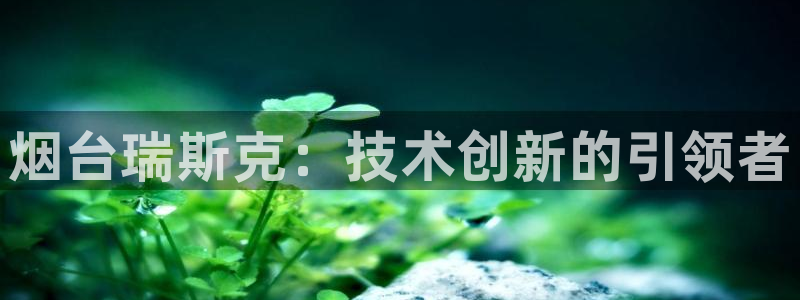 天辰娱乐登陆：烟台瑞斯克：技术创新的引领者