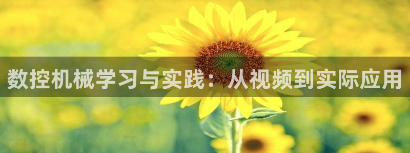 天辰娱乐输了