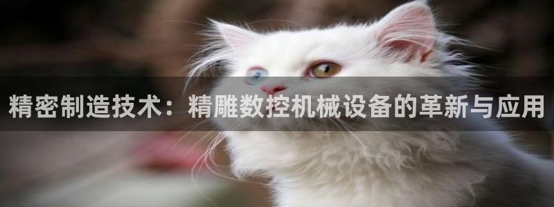天辰娱乐平台靠谱么