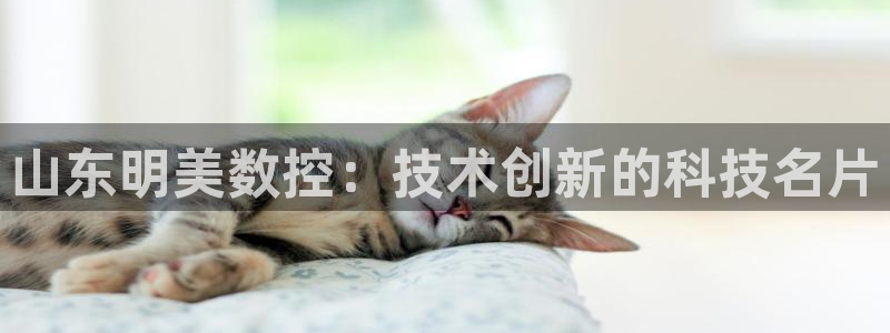 天辰臣娱乐