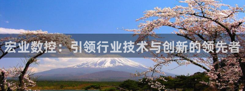 天辰娱乐彩票