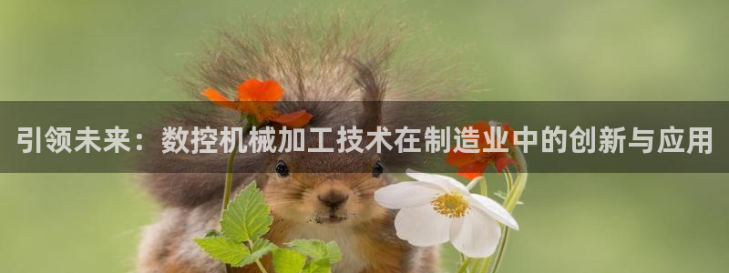 天辰娱乐股东