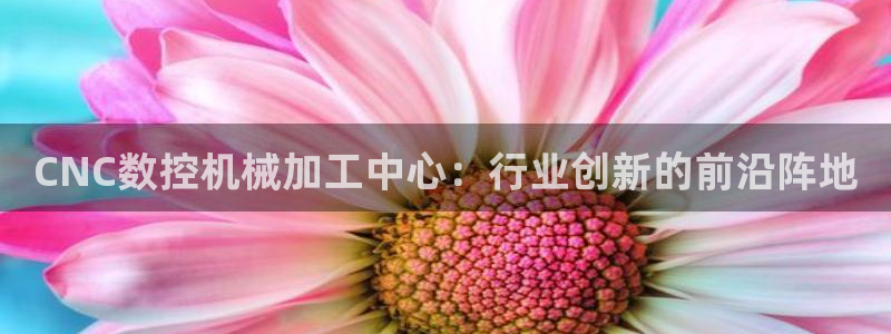 天辰娱乐海洋