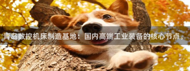 天辰娱乐信誉