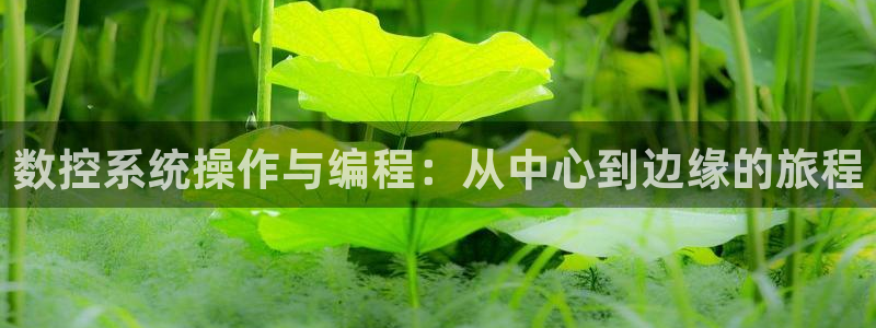 天辰天富娱乐
