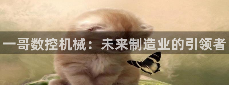 天辰娱乐 44516