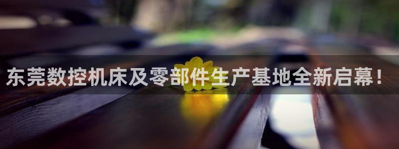 南京天辰娱乐