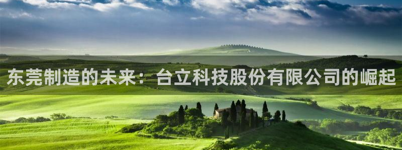 天辰娱乐1980