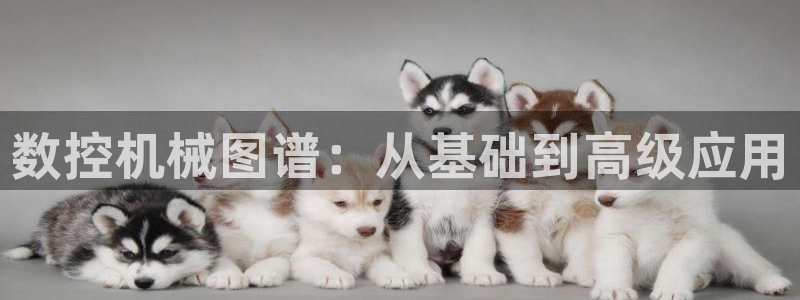 天辰娱乐跑的快：数控机械图谱：从基础到高级应用