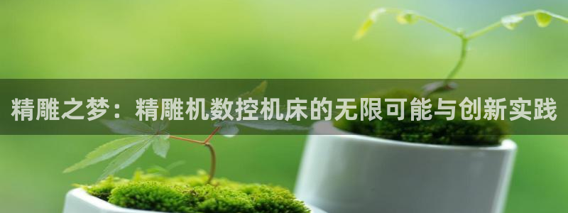 天辰平台娱乐