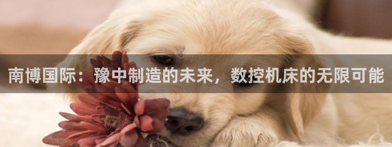 天辰娱乐地址