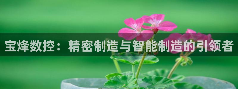 天辰娱乐44516