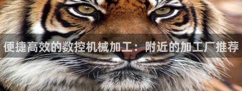 天辰娱乐怎么样