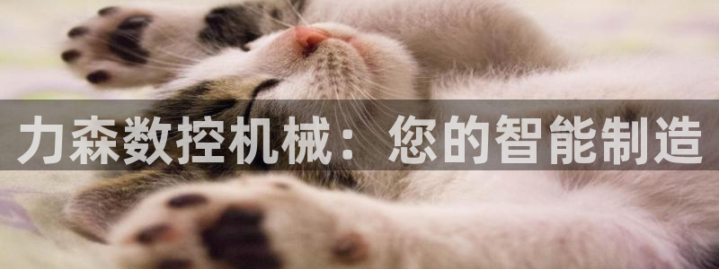 天辰娱乐7天22650