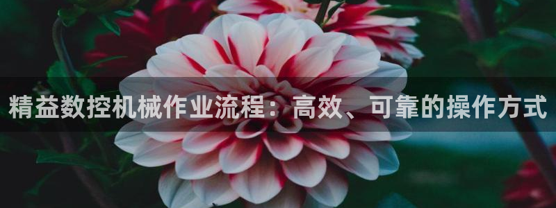 天辰娱乐平台注册