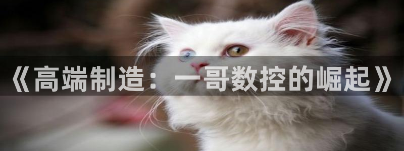 天辰娱乐输了