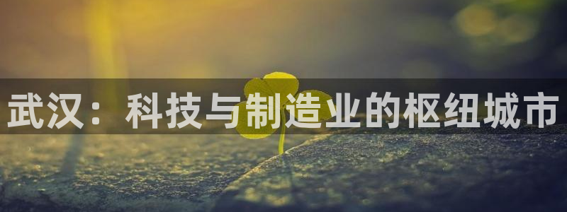 天辰娱乐 44516