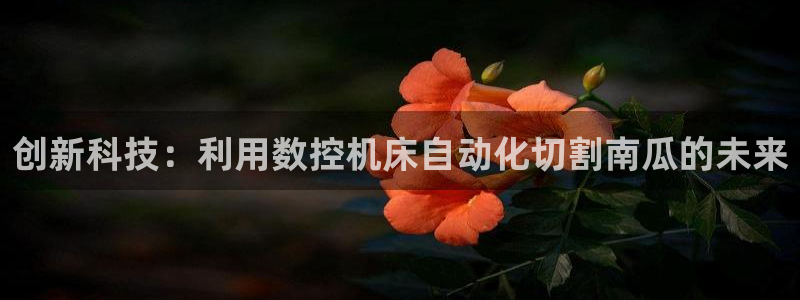 集宁天辰娱乐