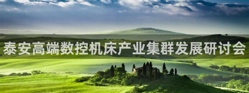 南充天辰娱乐:泰安高端数控机床产业集群发展研讨会