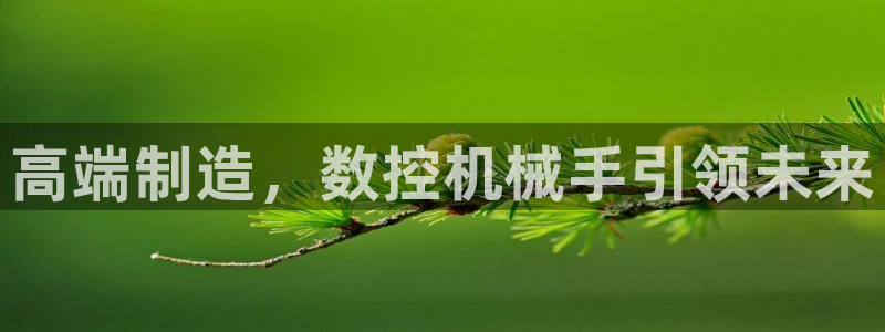 天辰娱乐登录网址